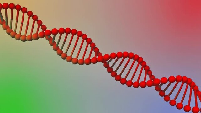 赤から緑へ変化するDNA構造が白背景で奥へ続き科学的で整然とした印象を作る