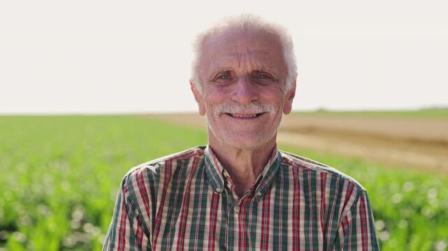 An older man stands in a green field with crossed arms. He looks at the camera. The sun shines bright in the clear sky. Rows of crops stretch into the distance behind him.