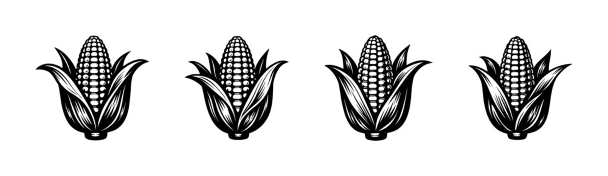 Row of four stylized corn cobs with husks, black and white illustration