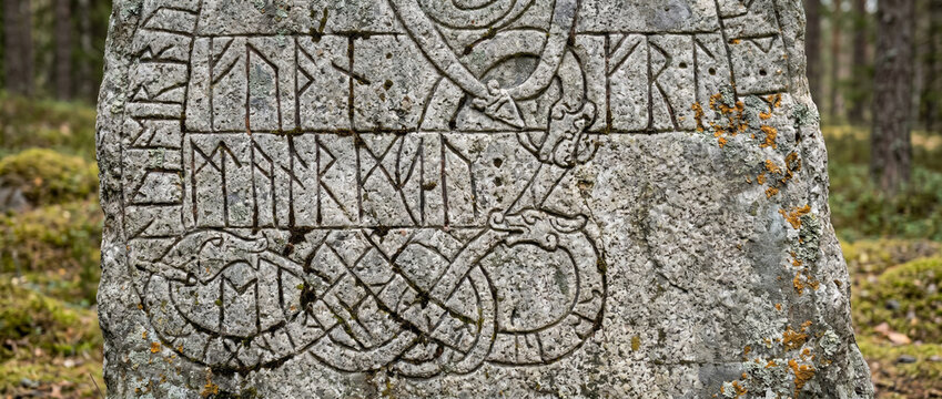 Ancient runestone with carved runes and dragon knotwork pattern. Historical granite monument standing in forest. Viking age memorial stone representing Norse culture and medieval history.