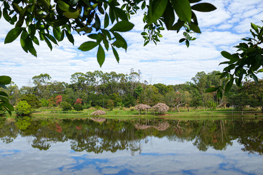 Paisagem do Parque Leol&iacute;dio Di Ramos Caiado, em dia de c&eacute;u cheio de nuvens, com detalhe de galhos com folhas em primeiro plano.