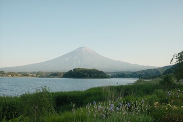 Naklejka premium Mt. Fuji reflected in Lake Kawaguchi with iris flowers in foreground