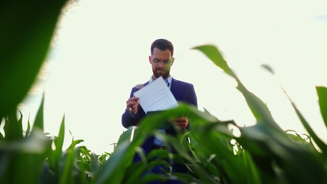 An agronomist checks the growth of corn plants in a wide field. It is bright outside with clear skies. He carries a clipboard and takes notes on the crops.