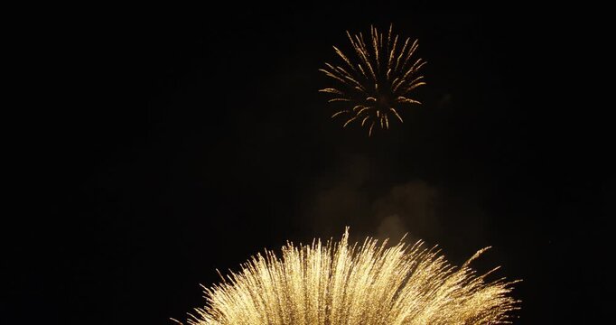 Multicolored Fireworks Launching And Bursting In Night Sky - Low Shot