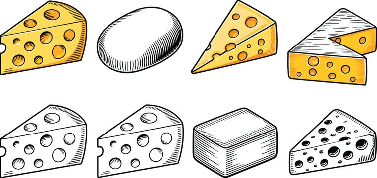 Cheese variety vintage sketch collection featuring maasdam mozzarella parmesan camembert cheddar and blue cheese line art for gourmet food restaurant menus.