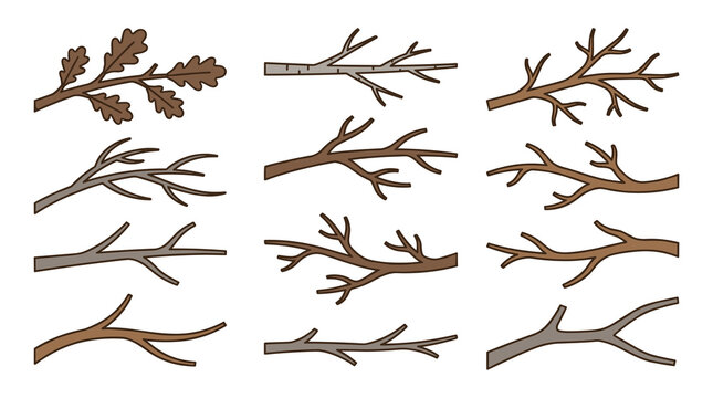 Premium bare branch botanical collection with 12 unique leafless tree branches clipart set