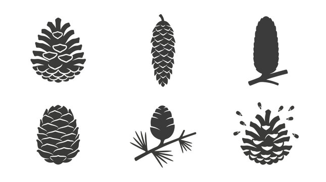 Flat vector icon set featuring six conifer seed cones: pine cone, spruce cone, fir cone, cedar cone, larch cone, opened cone releasing seeds