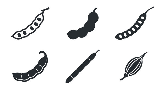 Flat vector icon set featuring six tropical seed pods: flamboyant pod, tamarind pod, acacia pod, rain tree pod, cassia pod, orchid seed capsule, monochrome solid silhouette