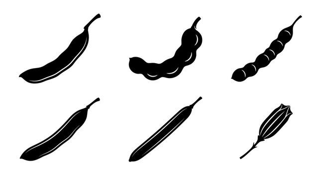 Flat vector icon set featuring six tropical seed pods: flamboyant pod, tamarind pod, acacia pod, rain tree pod, cassia pod, orchid seed capsule, monochrome solid silhouette