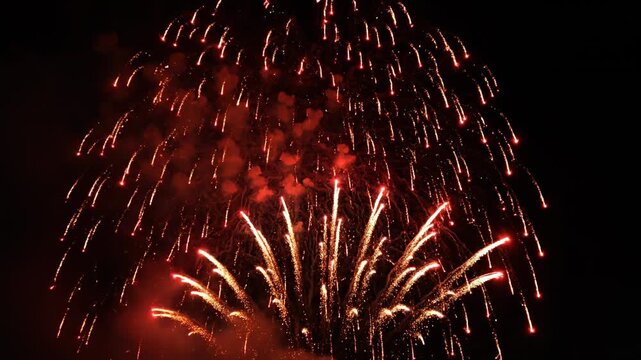 Bright fireworks exploding in the night sky