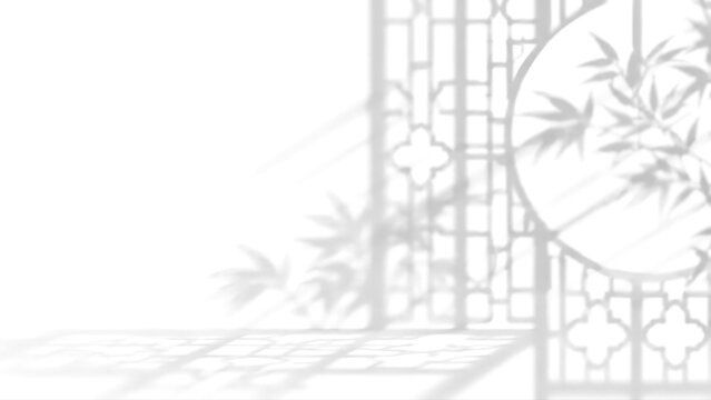 Bamboo Leaf and Chinese Lattice Window Shadow Overlay