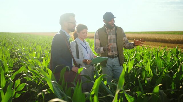 Farmer discussing crop production with business consultants in a corn field, with a combine harvester in the background symbolizing modern agriculture and harvest season.