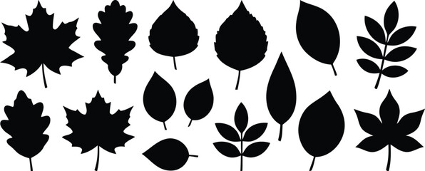Black silhouette collection of diverse leaf shapes for autumn and botanical design elements © AZAD