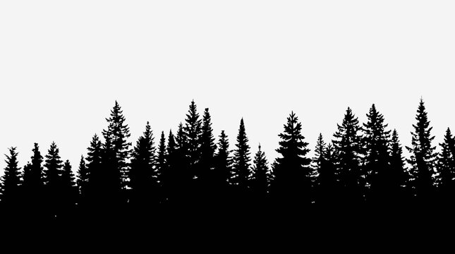 Forest trees set. tree silhouettes for winter forest landscape design, Mountain landscape. Mountains and coniferous forest. Christmas tree, fir-tree, pine, pine-tree

