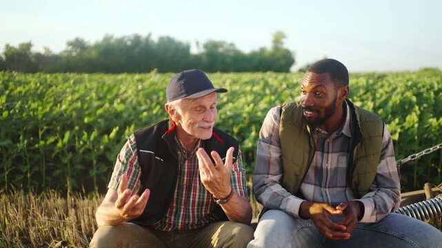 Two farmers sitting on a farm trailer and having a conversation beside a crop field, representing rural life, agriculture, teamwork and farming experience.