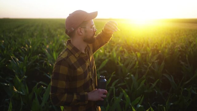Agricultural worker standing in a large corn field at sunset, representing farming, crop management, rural work and seasonal agriculture.
