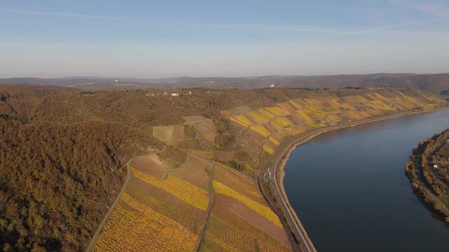 Bopparder Hamm Vineyard Rhine Bend Aerial Autumn