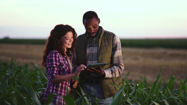 Two farmers talk about their crops in a field at sunset. They are looking at a tablet and sharing ideas about farming and new techniques. The sky is clear above the crops.