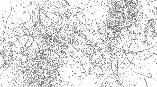 Abstract Grunge Texture with Scratches and Splatters - Monochrome Background