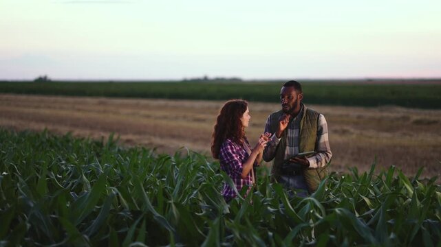 Two people are having a conversation in a cornfield at dusk. The sky is changing colors as they share thoughts and ideas while surrounded by rows of corn.