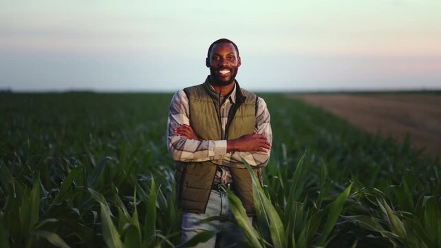 A farmer stands proudly in a corn field with rows of tall plants surrounding him. The sun sets in the background, creating a warm atmosphere.