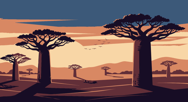 Baobab Trees at Sunset in African Savannah Landscape