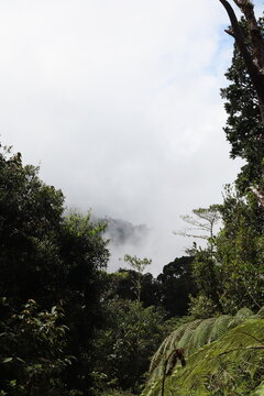 fog in the paramo mountains