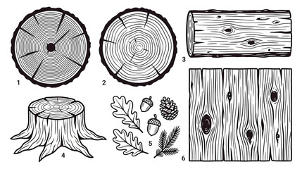 Wood Texture Elements: Tree Rings, Log, Stump, Planks, Acorns, Pinecone © meja