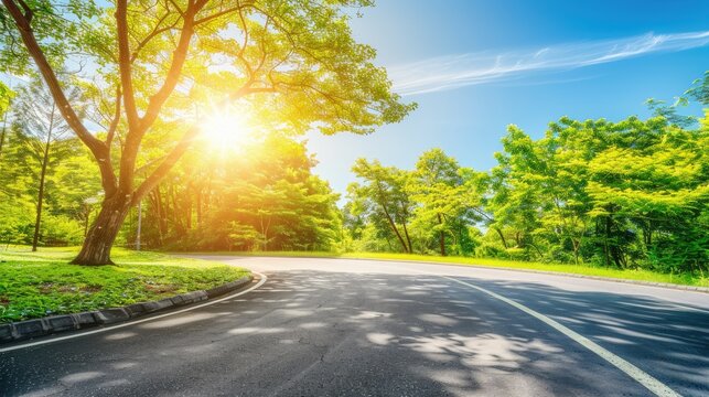 view of the road leading to the sunny hill