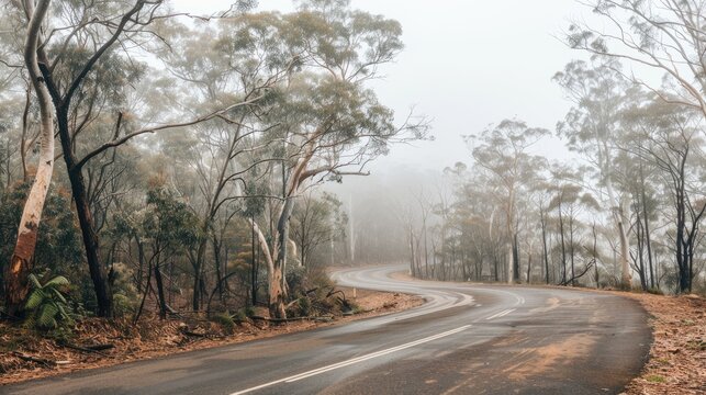 view of the road leading to the sunny hill