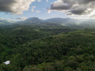 Naklejka premium Mountains and forest view with a building in green landscape