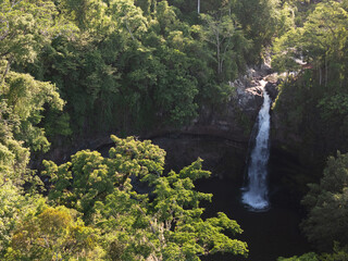 Naklejka premium Waterfall flows into a pool surrounded by green trees in forest area