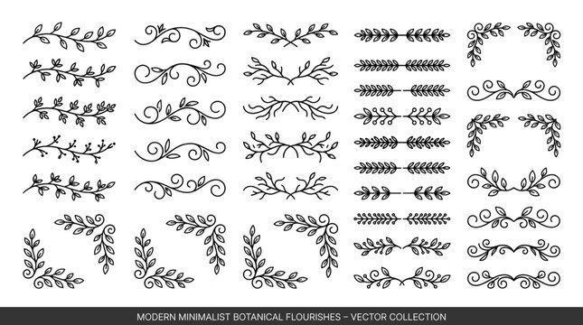 Hand drawn botanical dividers and leaf corner ornaments collection