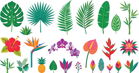 Tropical jungle leaves and flowers vector elements set featuring monstera palm fern hibiscus orchid bird of paradise icons bundle © ALOMGIR