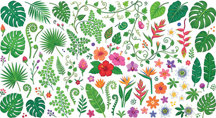 Tropical jungle botanical vector element set with monstera palm leaves hibiscus orchid bird of paradise and plumeria exotic flowers © ALOMGIR