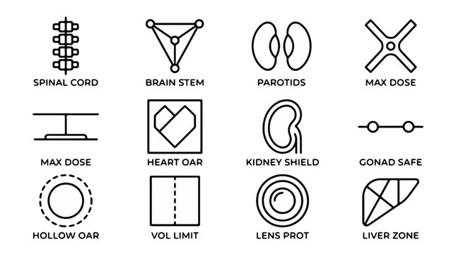 Radiotherapy OAR Organs at Risk and dose constraints line icons set. Medical physics treatment planning vector symbols including spinal cord, brain stem, kidney shield, and lens protection.