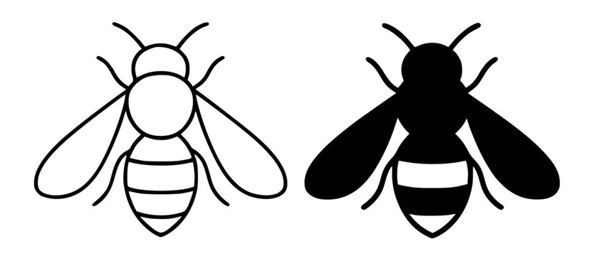 Minimalist bee icon in outline and silhouette design