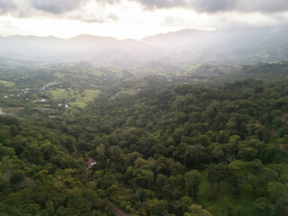 Naklejka premium View of a mountain valley filled with trees in the early morning