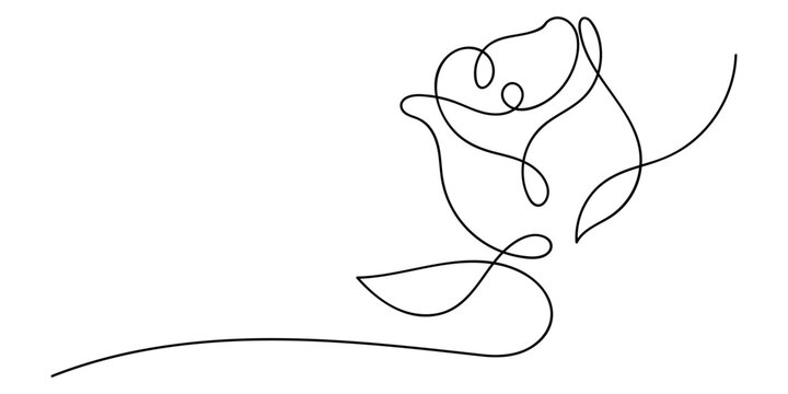 Continuous line drawing of a rose flower vector illustration. Single line art minimalist rose Editable stroke.