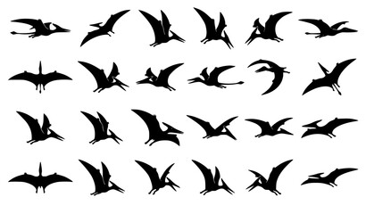 Minimal Flying Pterodactyl Black Silhouette Vector Set © sobuj
