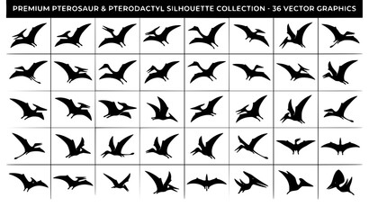 Premium Flying Pterodactyl Silhouette Vector Prehistoric Animal Collection © sobuj