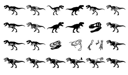 Minimal T Rex Dinosaur Skeleton Fossil Vector Illustration Set © sobuj