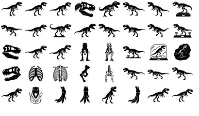 Premium Tyrannosaurus Rex Skeleton Fossil Silhouette Vector Pack © sobuj
