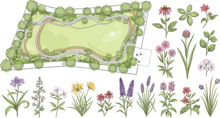 PrintVector illustration set of architectural landscape garden plan with colorful botanical wildflowers herbs and plants isolated on white background © Himel