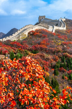 Badaling Great Wall with colorful autumn forest, Beijing, China. 
