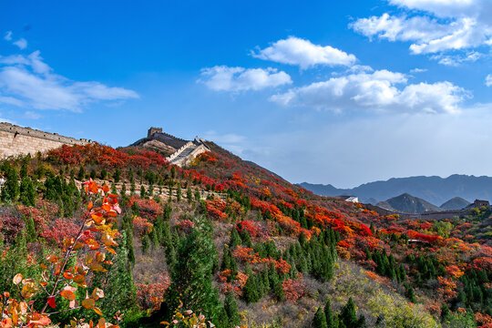 Badaling Great Wall with colorful autumn forest, Beijing, China. 