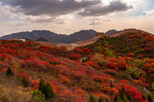 Badaling Great Wall with colorful autumn forest, Beijing, China. 