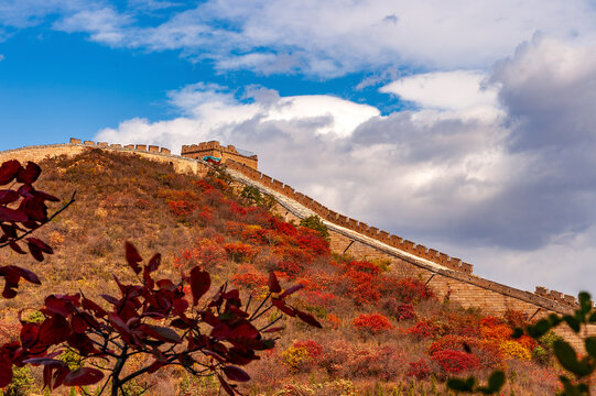 Badaling Great Wall with colorful autumn forest, Beijing, China. 