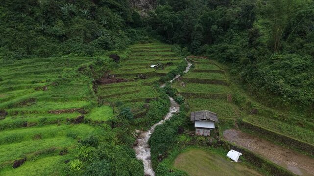 Rice terraces filled with water after rice harvesting on the sunrise.Aerial view of the rice field area, agricultural farms.