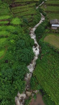 Rice terraces filled with water after rice harvesting on the sunrise.Aerial view of the rice field area, agricultural farms.